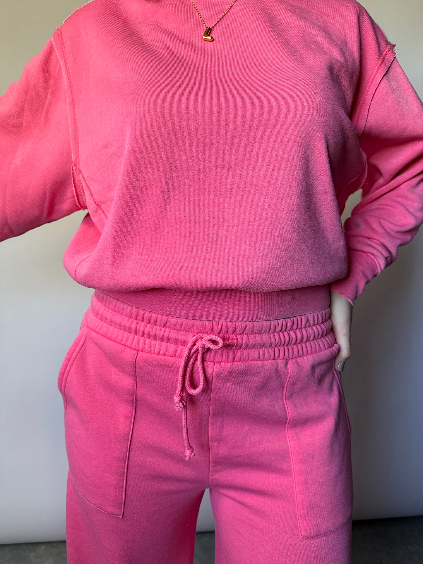 Dreamy Crewneck Flamingo