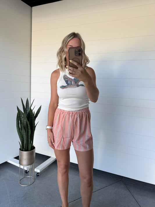 Peach Stripe Shorts